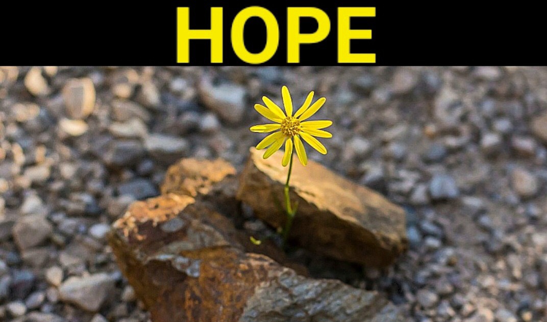 HOPE